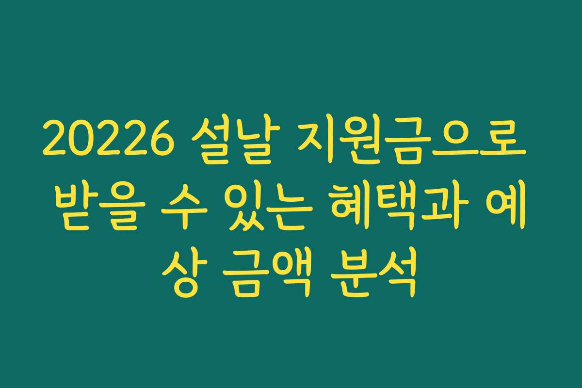 20226 설날 지원금으로 받을 수 있는 혜택과 예상 금액 분석