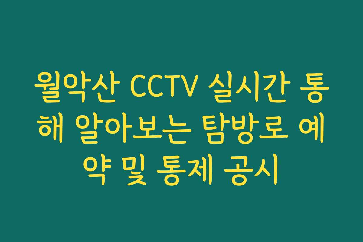 월악산 CCTV 실시간 통해 알아보는 탐방로 예약 및 통제 공시