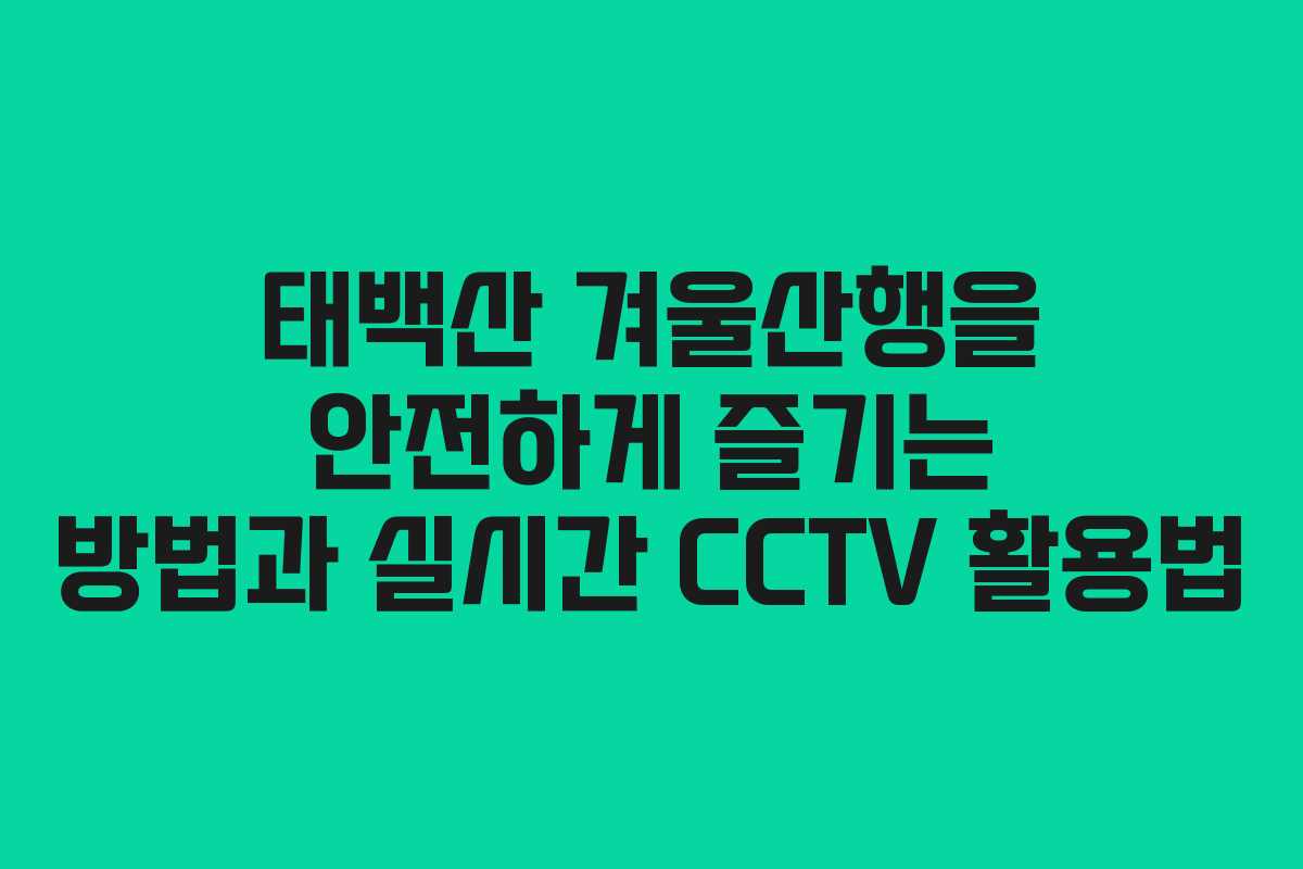 태백산 겨울산행을 안전하게 즐기는 방법과 실시간 CCTV 활용법