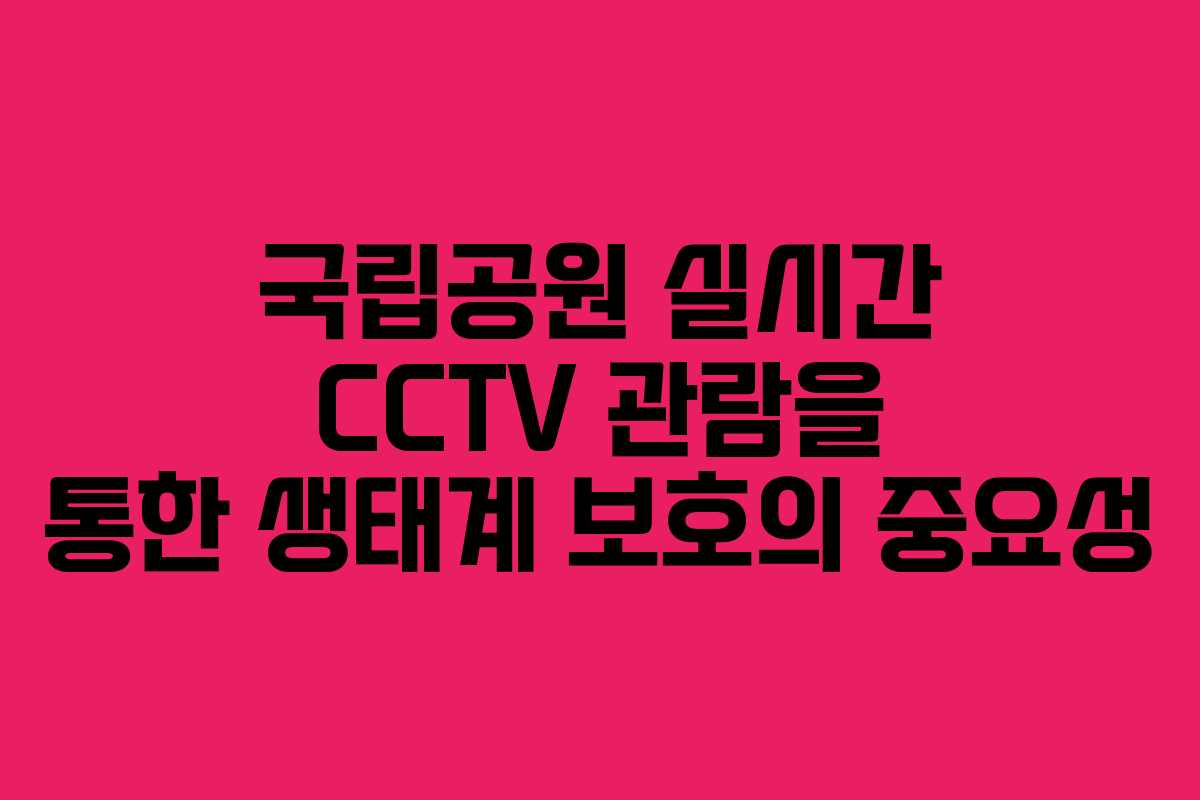국립공원 실시간 CCTV 관람을 통한 생태계 보호의 중요성