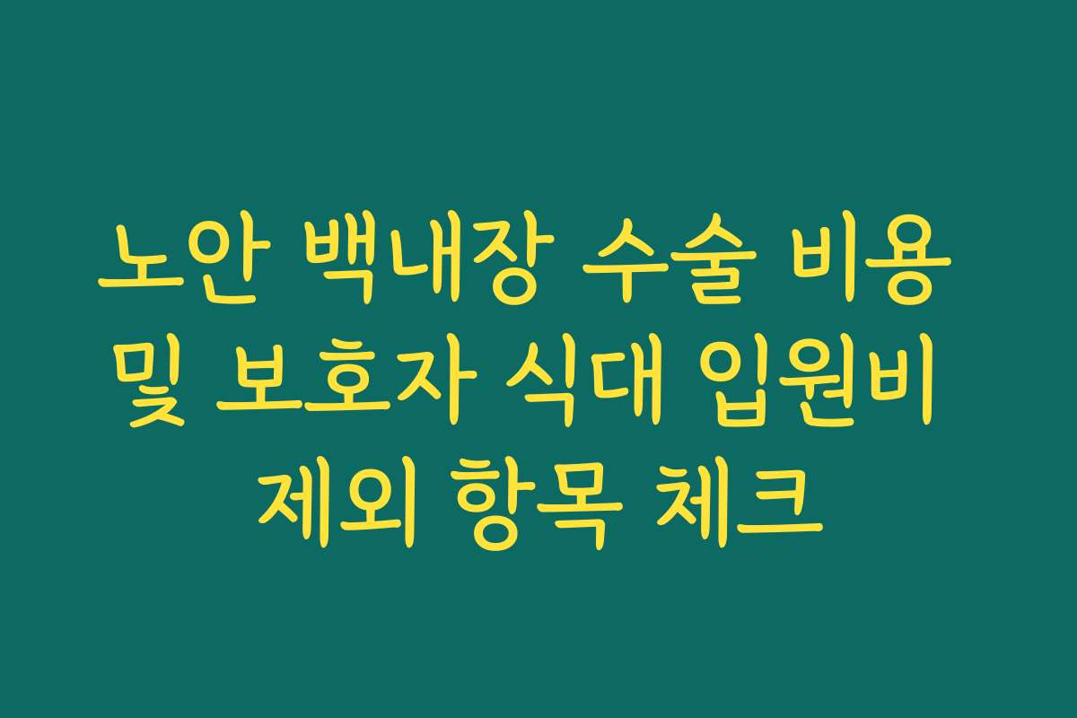 노안 백내장 수술 비용 및 보호자 식대 입원비 제외 항목 체크