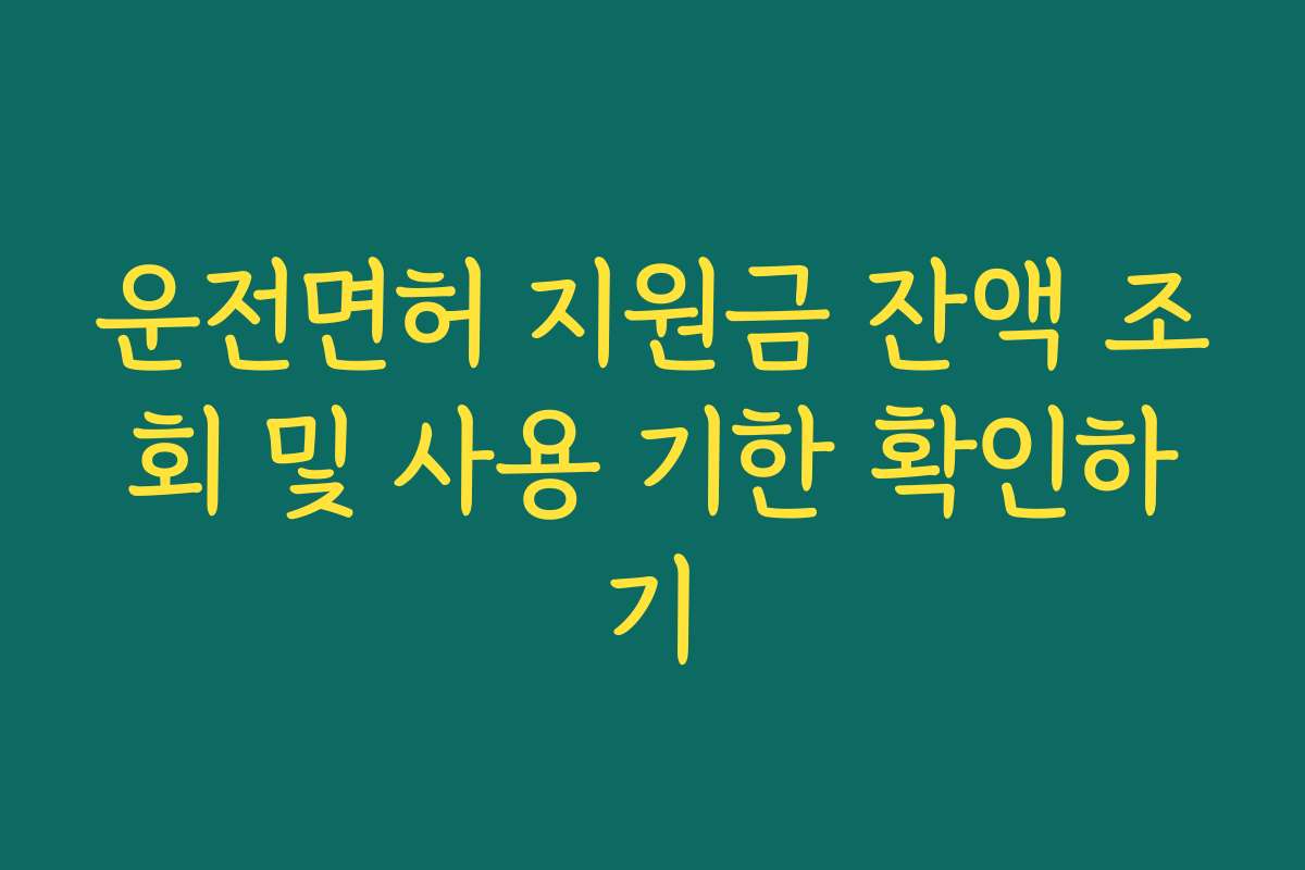 운전면허 지원금 잔액 조회 및 사용 기한 확인하기