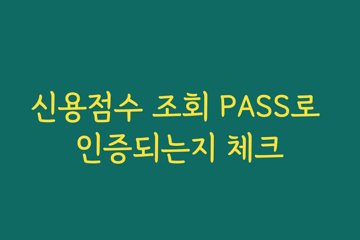 신용점수 조회 PASS로 인증되는지 체크