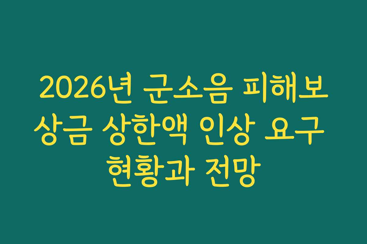 2026년 군소음 피해보상금 상한액 인상 요구 현황과 전망