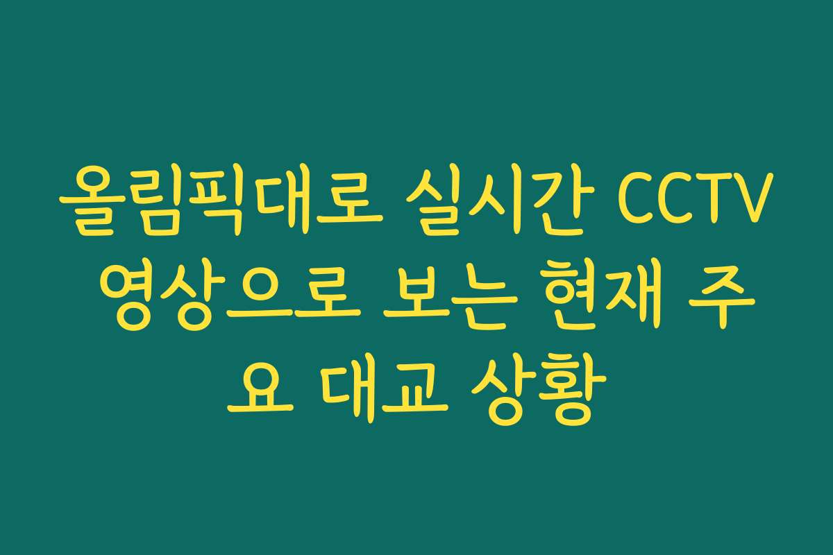 올림픽대로 실시간 CCTV 영상으로 보는 현재 주요 대교 상황