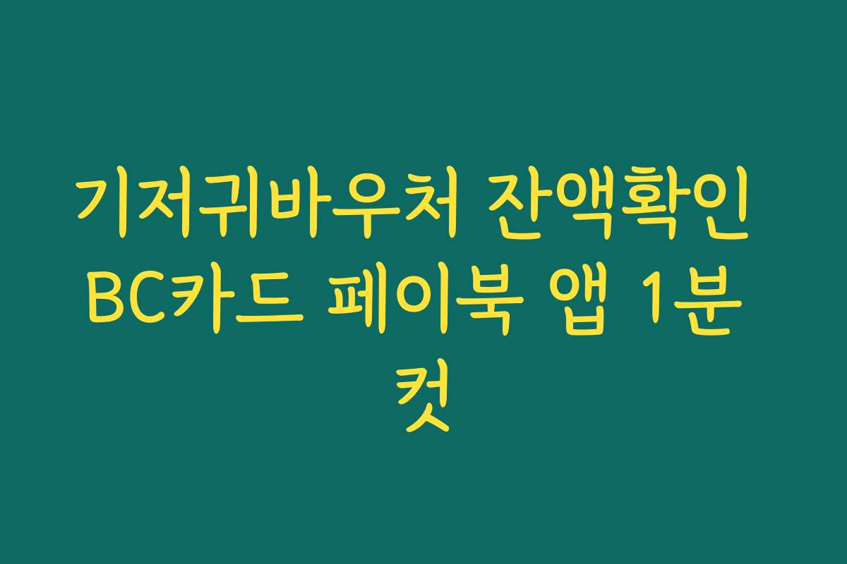 기저귀바우처 잔액확인 BC카드 페이북 앱 1분 컷