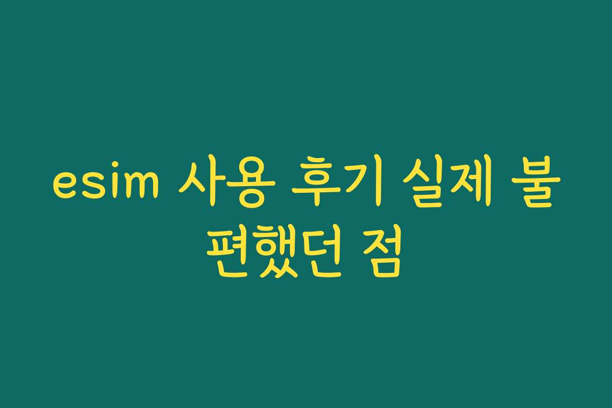 esim 사용 후기 실제 불편했던 점