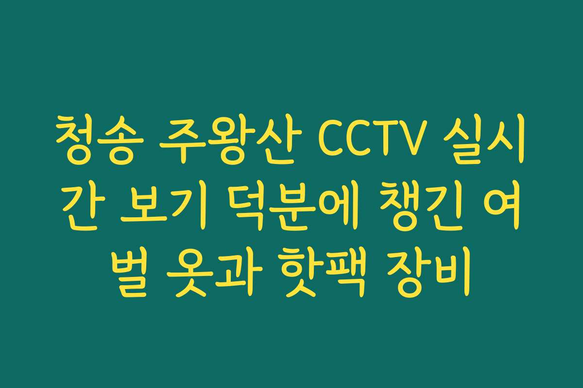 청송 주왕산 CCTV 실시간 보기 덕분에 챙긴 여벌 옷과 핫팩 장비