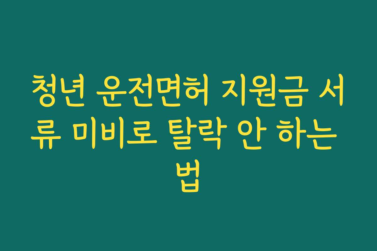청년 운전면허 지원금 서류 미비로 탈락 안 하는 법