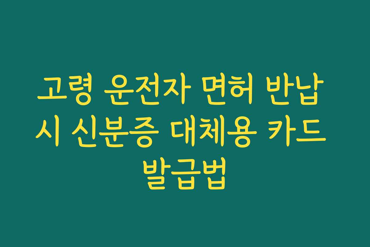 고령 운전자 면허 반납 시 신분증 대체용 카드 발급법