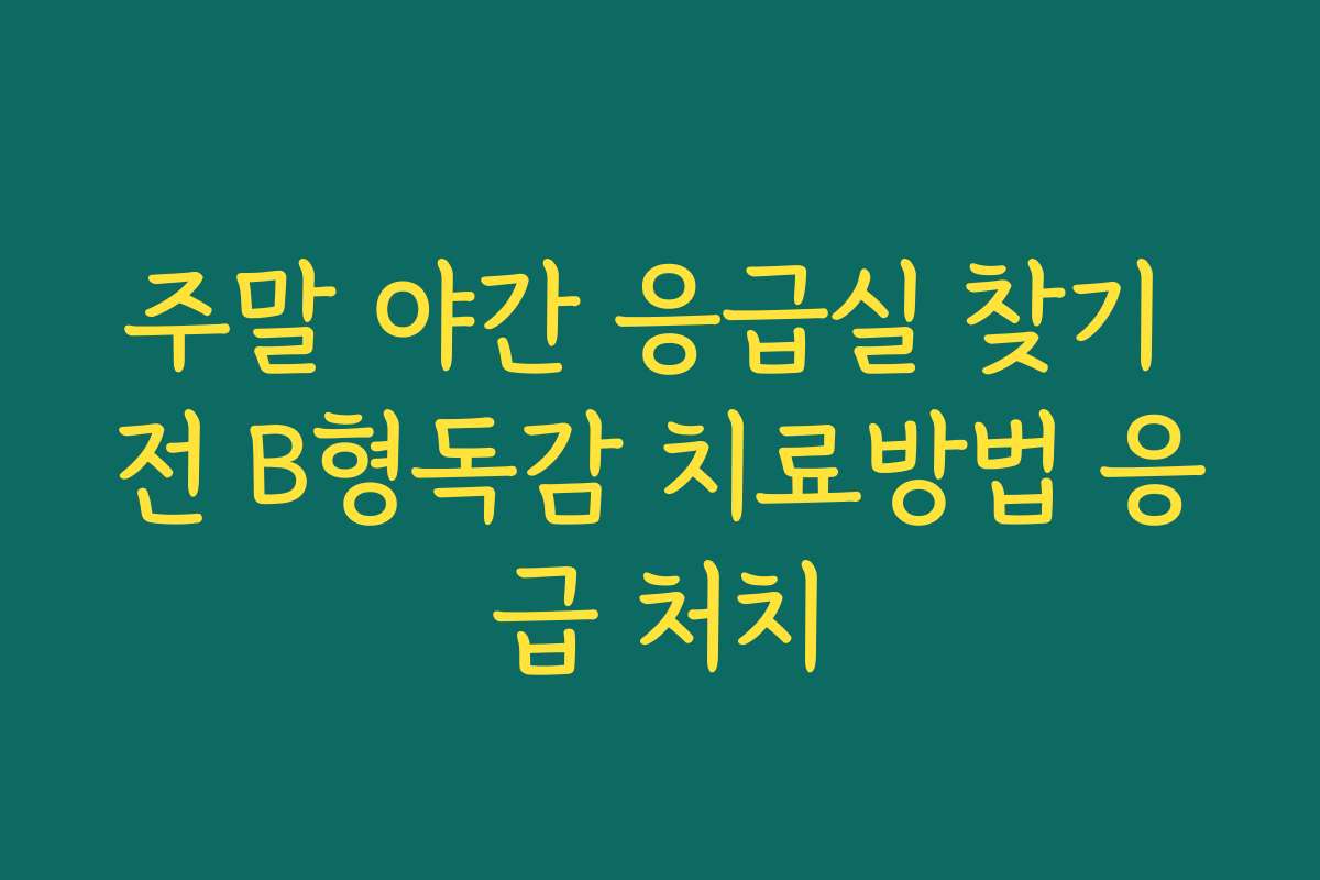 주말 야간 응급실 찾기 전 B형독감 치료방법 응급 처치