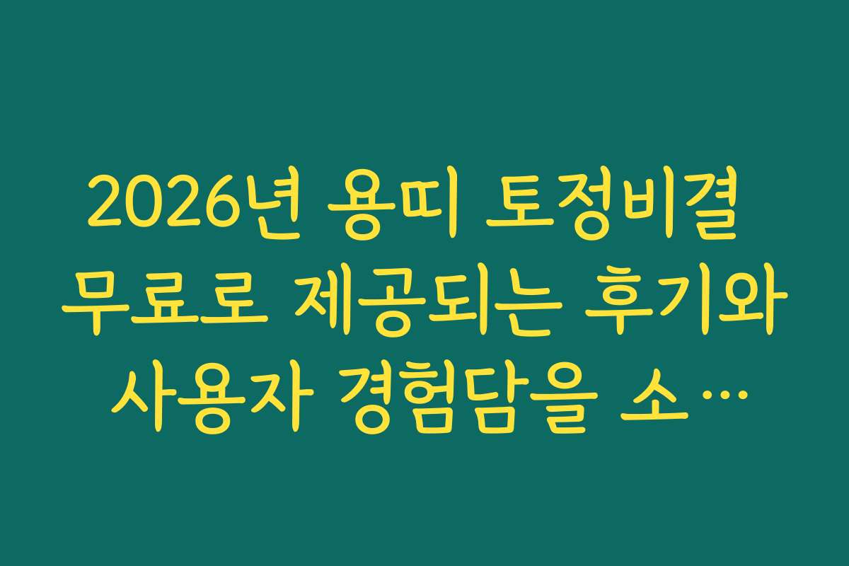 2026년 용띠 토정비결 무료로 제공되는 후기와 사용자 경험담을 소개합니다