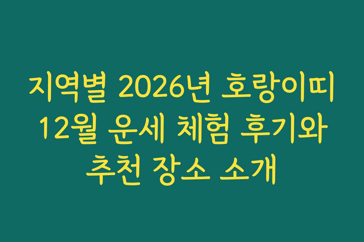 지역별 2026년 호랑이띠 12월 운세 체험 후기와 추천 장소 소개