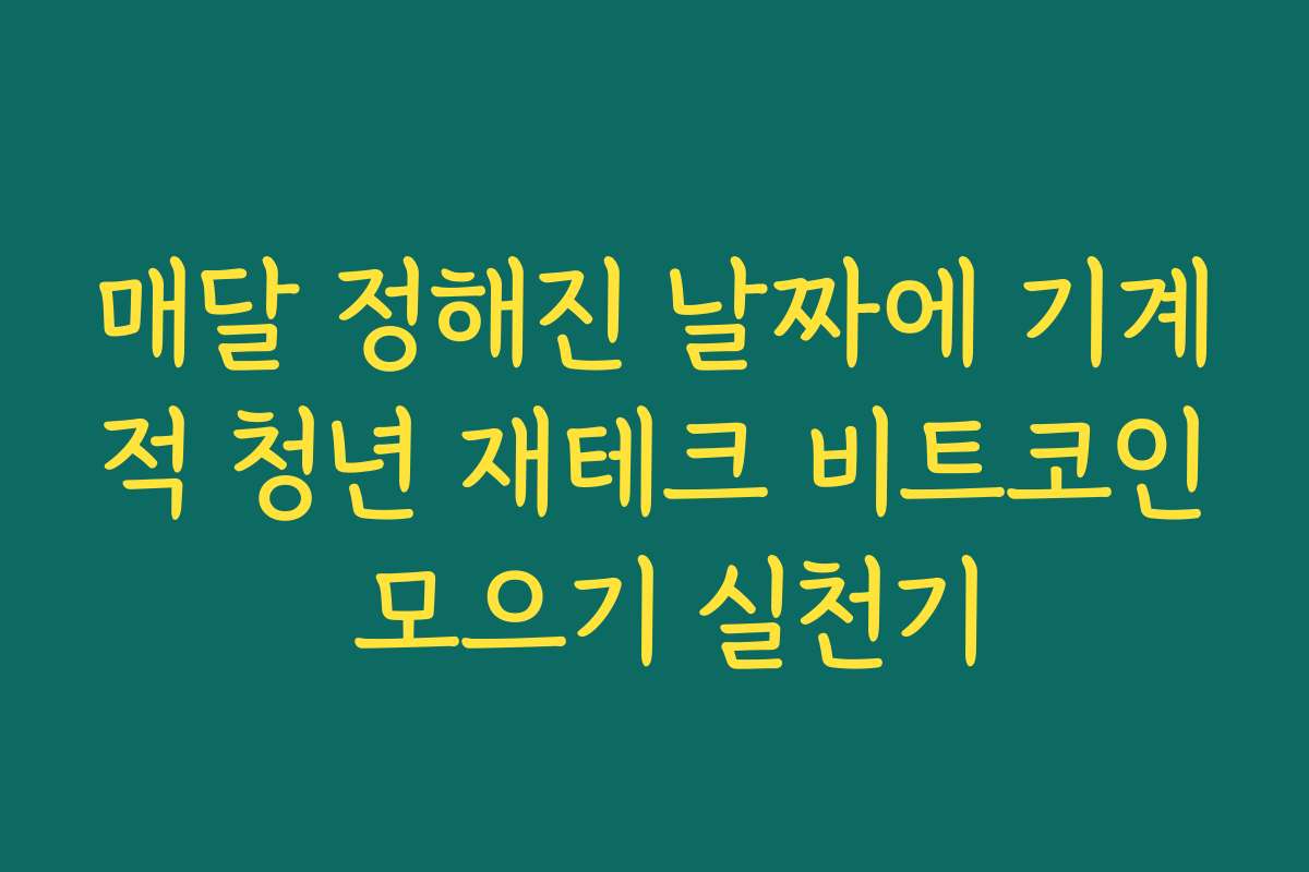 매달 정해진 날짜에 기계적 청년 재테크 비트코인 모으기 실천기