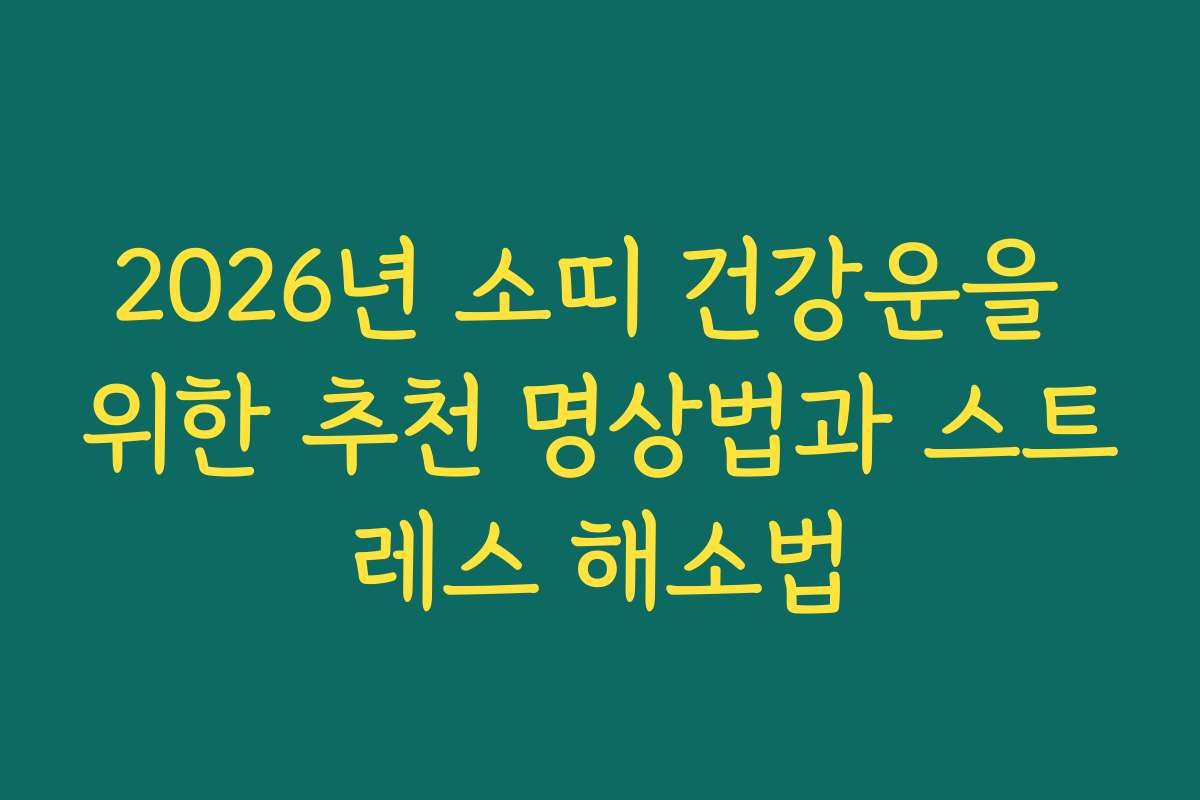 2026년 소띠 건강운을 위한 추천 명상법과 스트레스 해소법