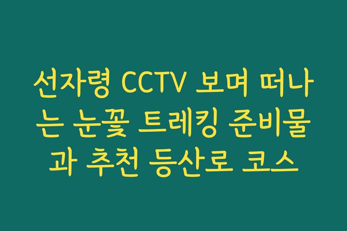 선자령 CCTV 보며 떠나는 눈꽃 트레킹 준비물과 추천 등산로 코스