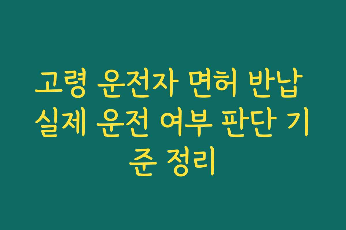 고령 운전자 면허 반납 실제 운전 여부 판단 기준 정리