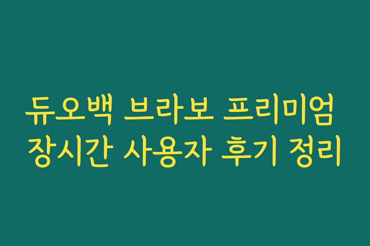 듀오백 브라보 프리미엄 장시간 사용자 후기 정리