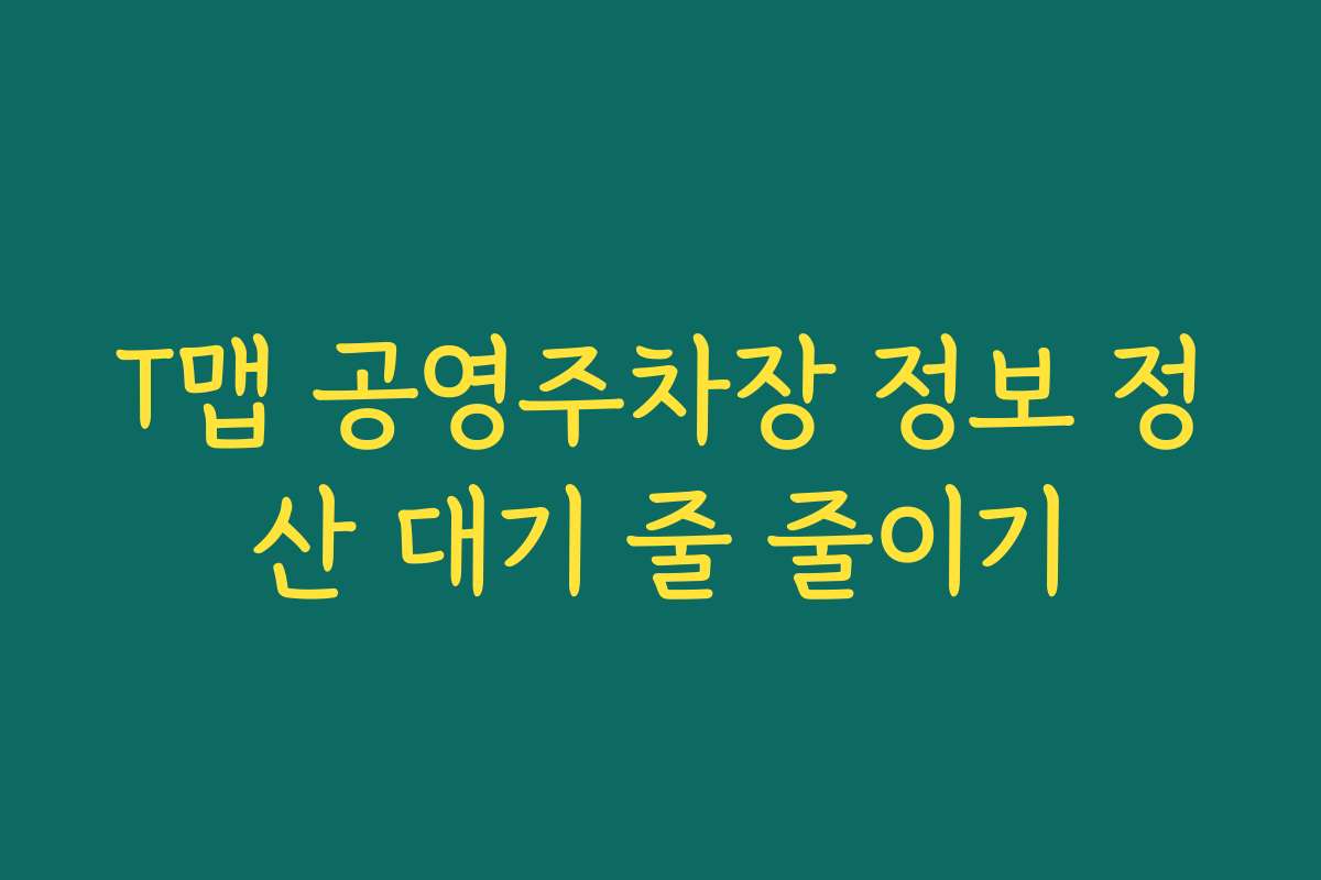 T맵 공영주차장 정보 정산 대기 줄 줄이기
