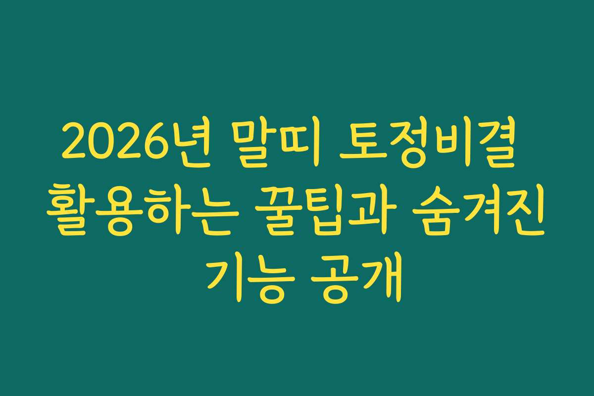 2026년 말띠 토정비결 활용하는 꿀팁과 숨겨진 기능 공개