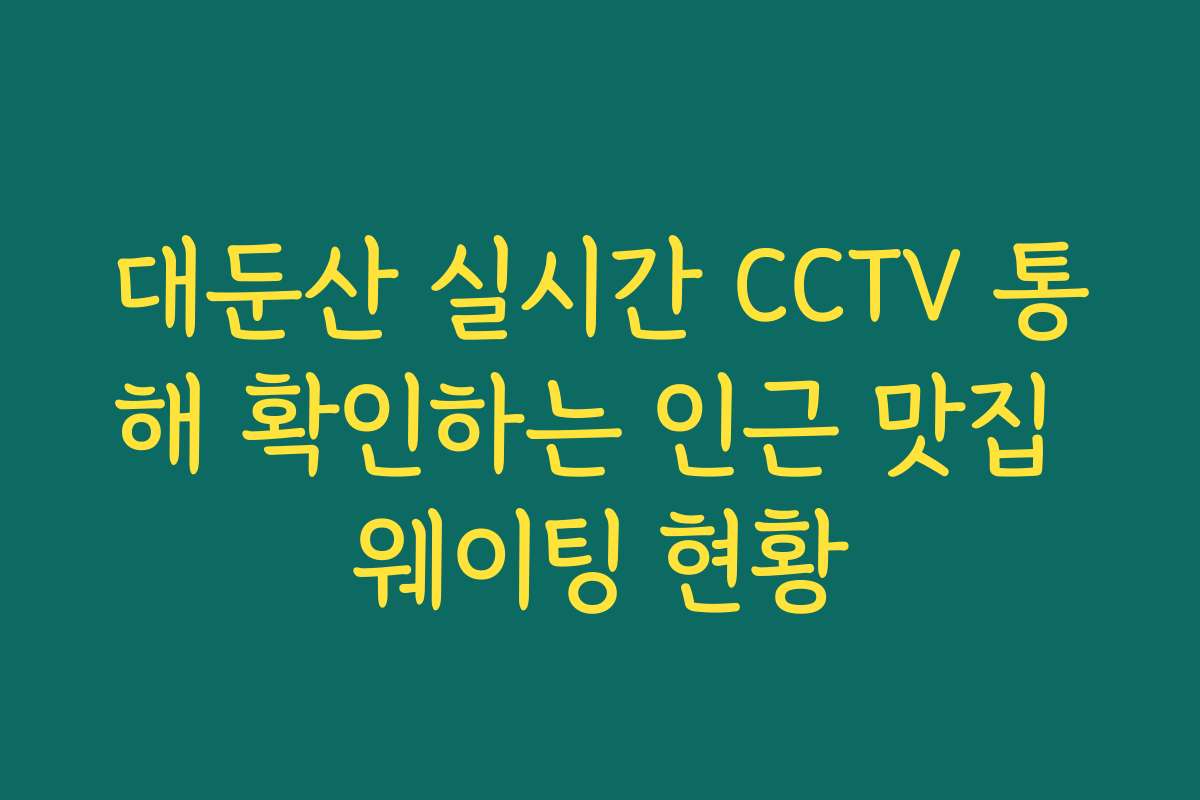 대둔산 실시간 CCTV 통해 확인하는 인근 맛집 웨이팅 현황