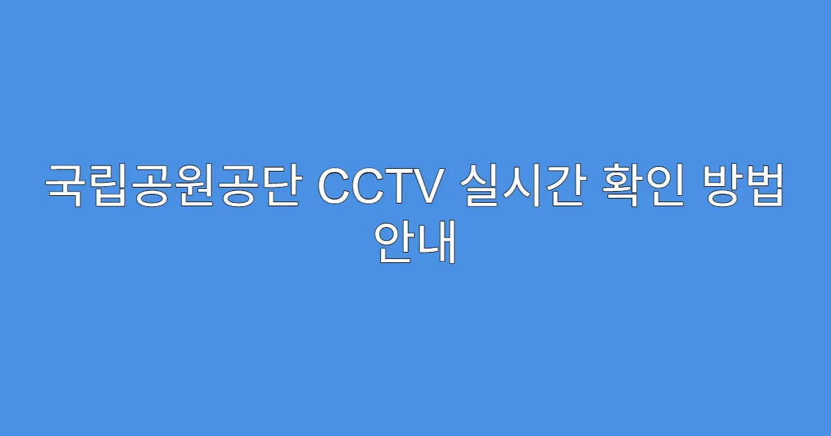 국립공원공단 CCTV 실시간 확인 방법 안내