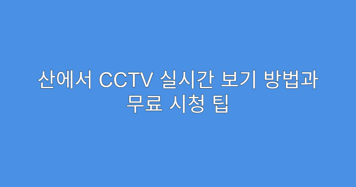 산에서 CCTV 실시간 보기 방법과 무료 시청 팁