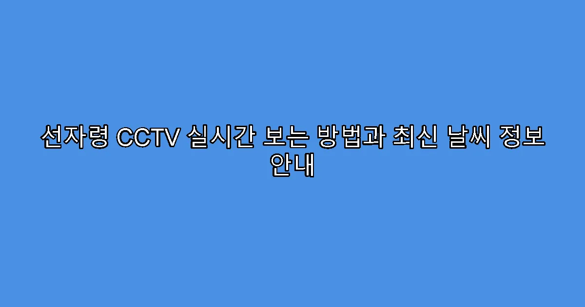 선자령 CCTV 실시간 보는 방법과 최신 날씨 정보 안내