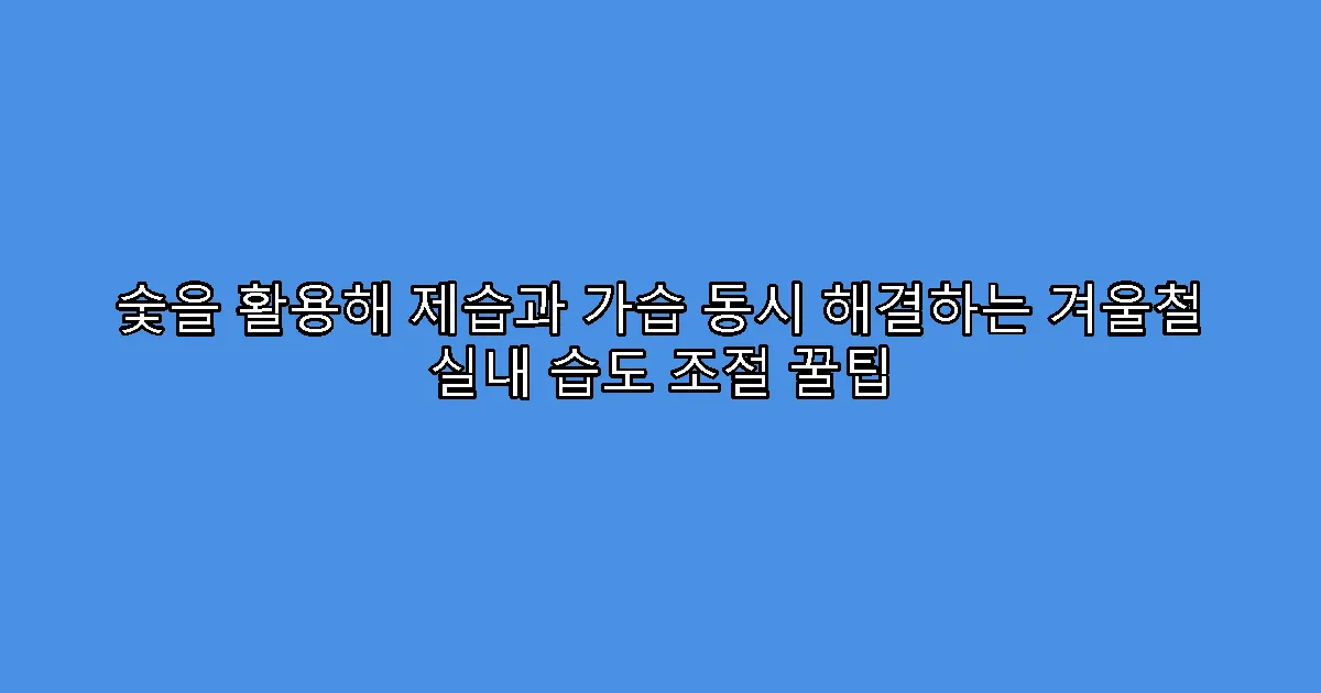 숯을 활용해 제습과 가습 동시 해결하는 겨울철 실내 습도 조절 꿀팁