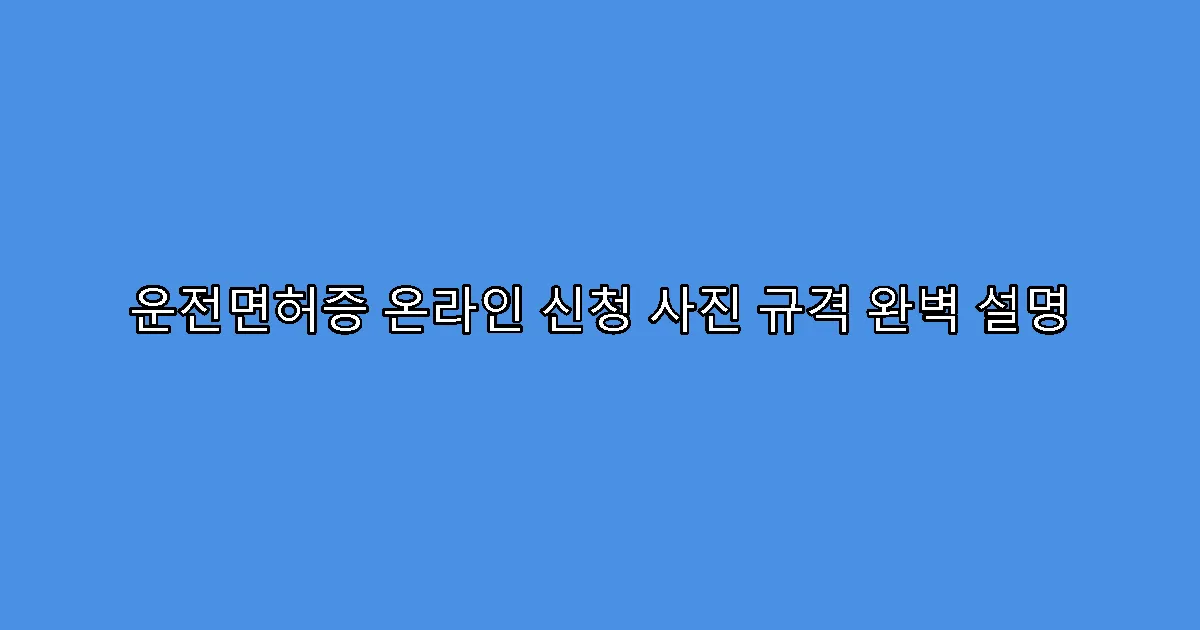 운전면허증 온라인 신청 사진 규격 완벽 설명