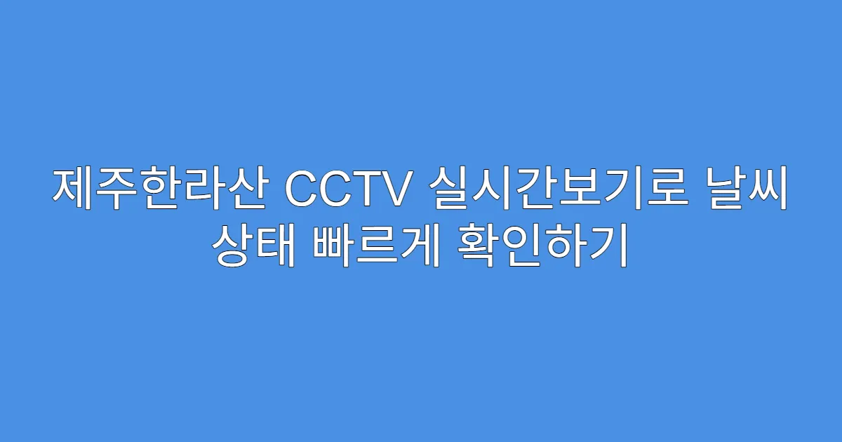 제주한라산 CCTV 실시간보기로 날씨 상태 빠르게 확인하기