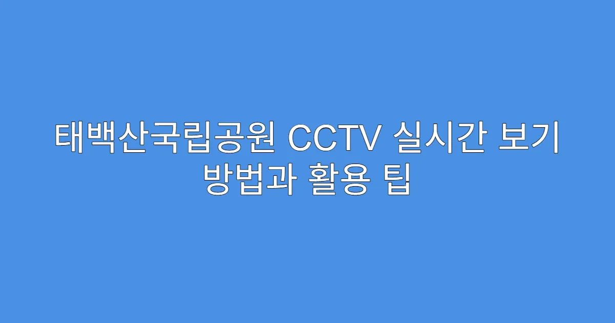 태백산국립공원 CCTV 실시간 보기 방법과 활용 팁