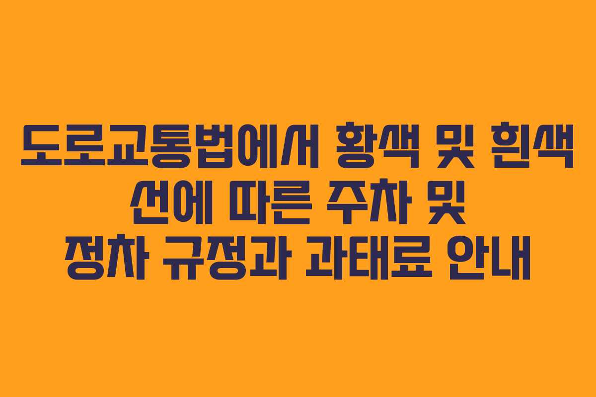 도로교통법에서 황색 및 흰색 선에 따른 주차 및 정차 규정과 과태료 안내