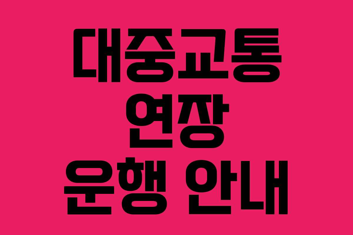 대중교통 연장 운행 안내