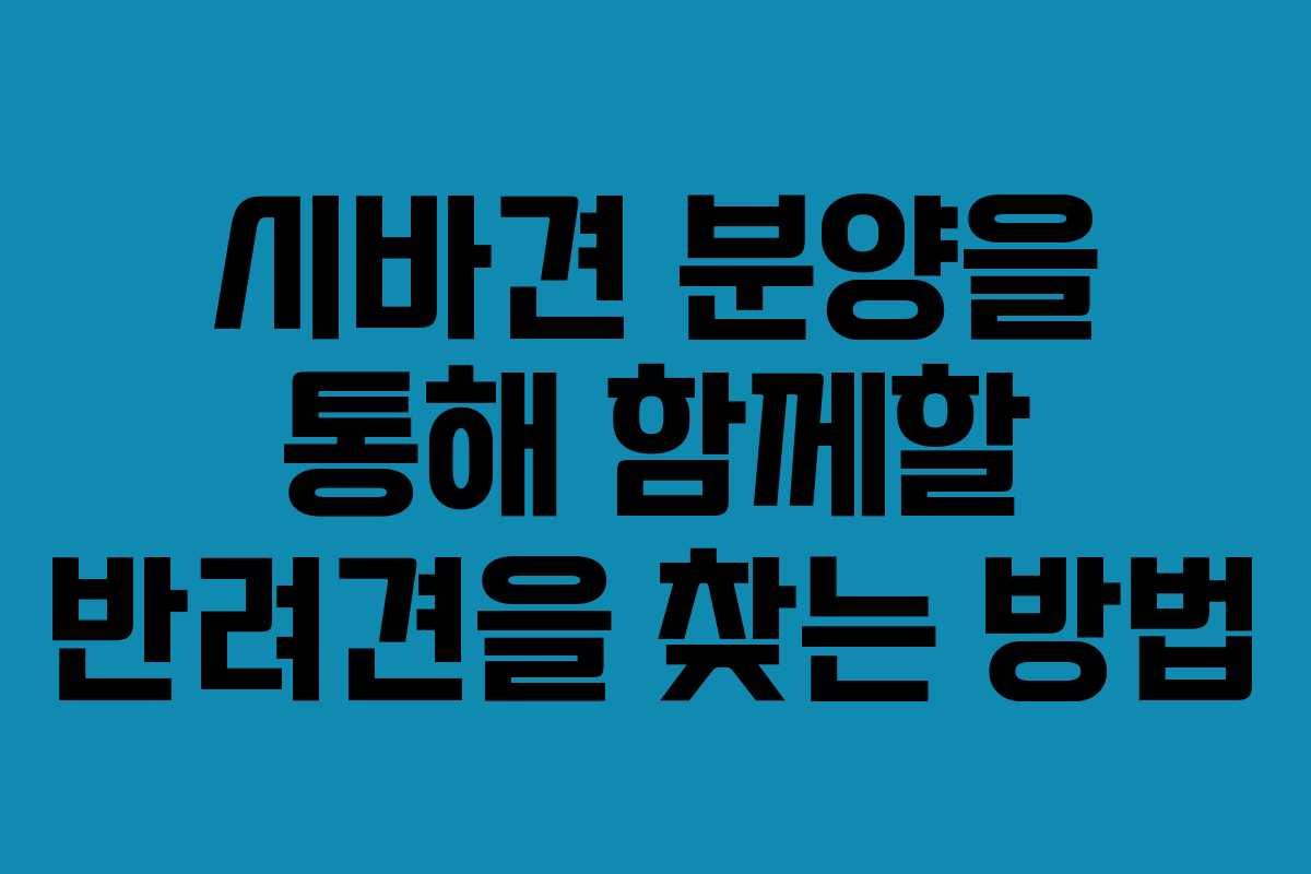 시바견 분양을 통해 함께할 반려견을 찾는 방법