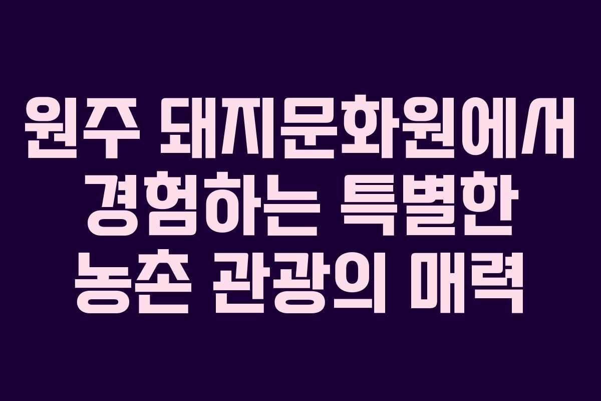 원주 돼지문화원에서 경험하는 특별한 농촌 관광의 매력