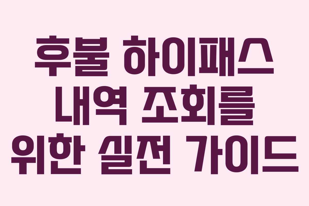 후불 하이패스 내역 조회를 위한 실전 가이드