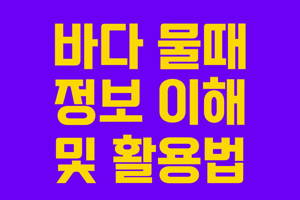 바다 물때 정보 이해 및 활용법