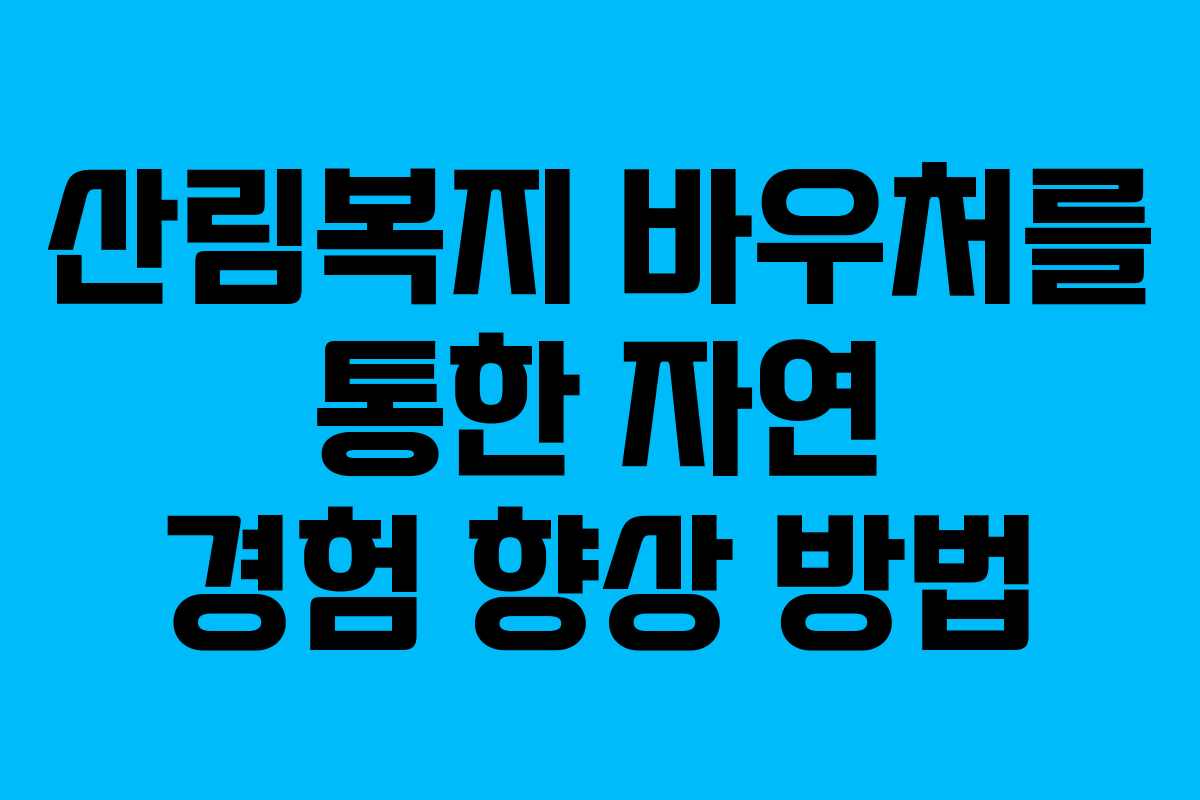 산림복지 바우처를 통한 자연 경험 향상 방법