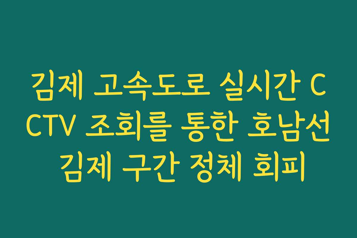 김제 고속도로 실시간 CCTV 조회를 통한 호남선 김제 구간 정체 회피