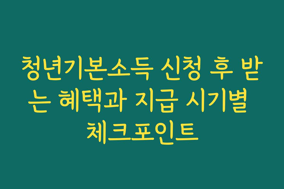 청년기본소득 신청 후 받는 혜택과 지급 시기별 체크포인트