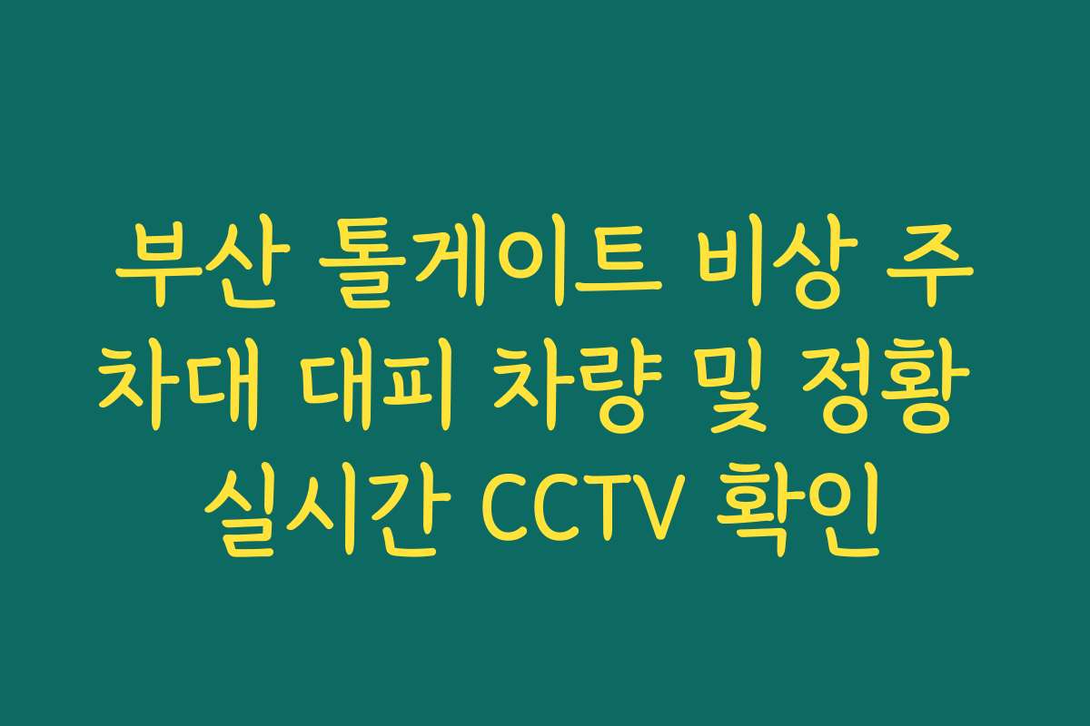 부산 톨게이트 비상 주차대 대피 차량 및 정황 실시간 CCTV 확인