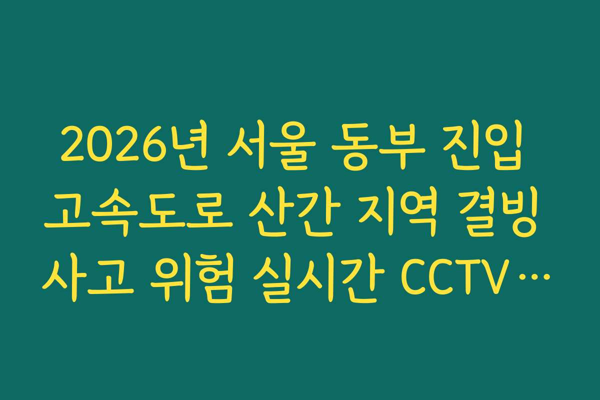2026년 서울 동부 진입 고속도로 산간 지역 결빙 사고 위험 실시간 CCTV 확인