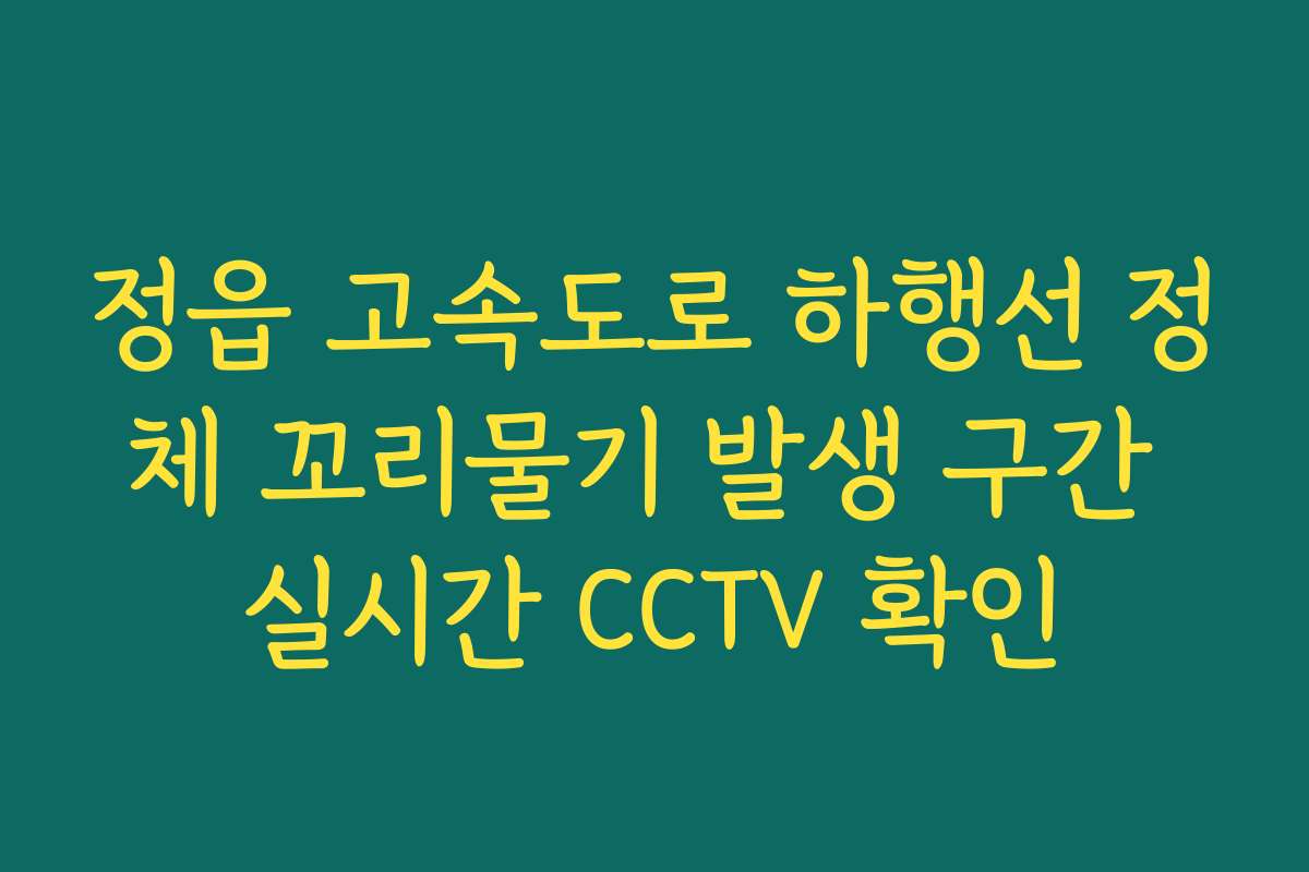 정읍 고속도로 하행선 정체 꼬리물기 발생 구간 실시간 CCTV 확인