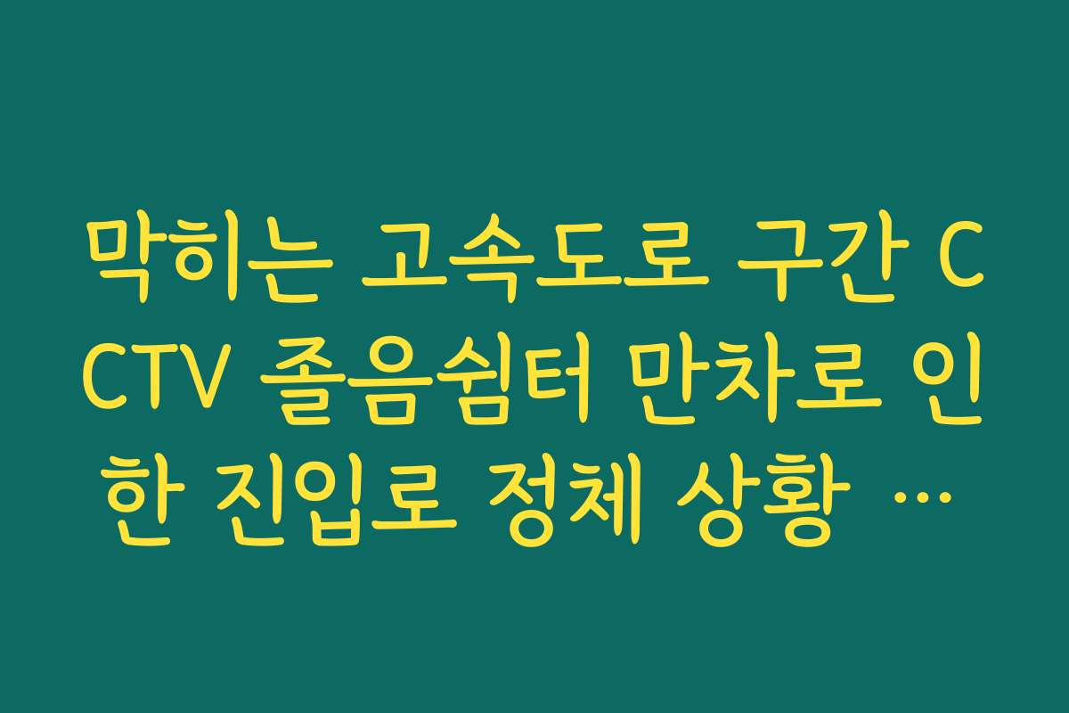 막히는 고속도로 구간 CCTV 졸음쉼터 만차로 인한 진입로 정체 상황 보기