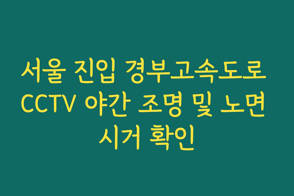 서울 진입 경부고속도로 CCTV 야간 조명 및 노면 시거 확인