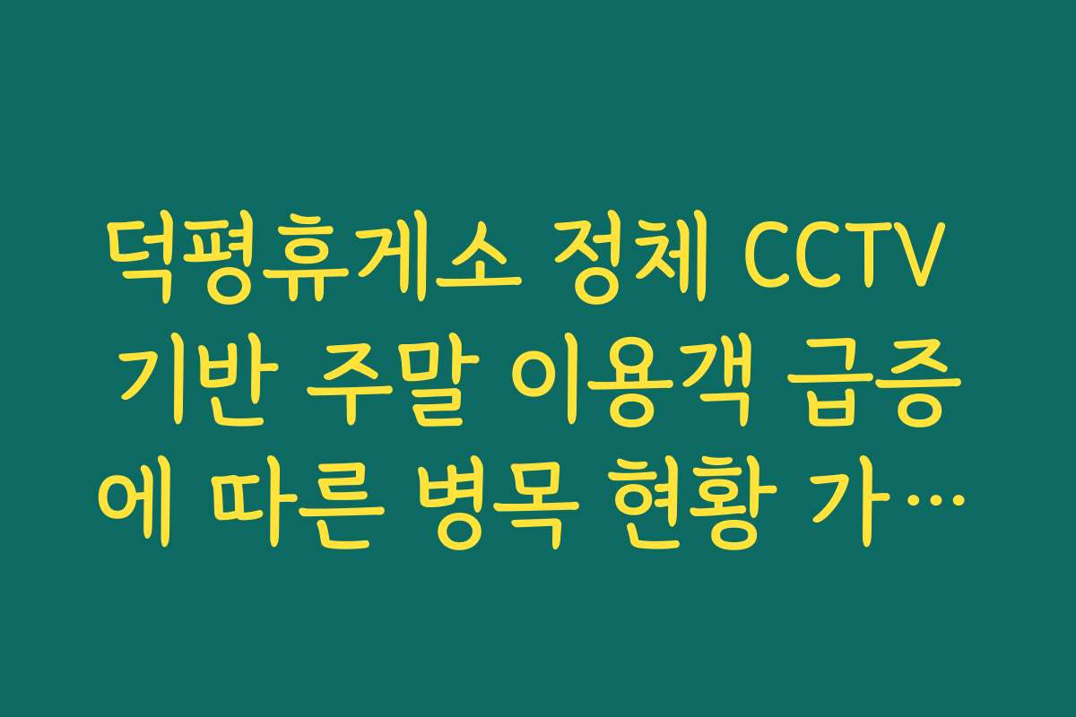 덕평휴게소 정체 CCTV 기반 주말 이용객 급증에 따른 병목 현황 가이드