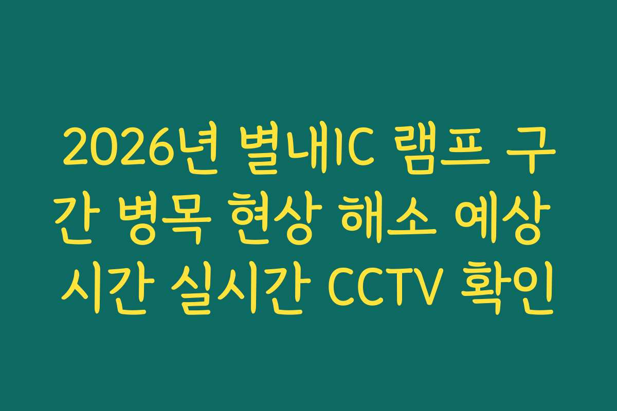2026년 별내IC 램프 구간 병목 현상 해소 예상 시간 실시간 CCTV 확인