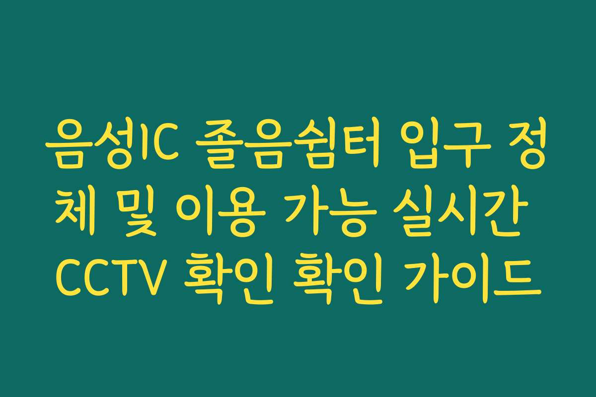 음성IC 졸음쉼터 입구 정체 및 이용 가능 실시간 CCTV 확인 확인 가이드