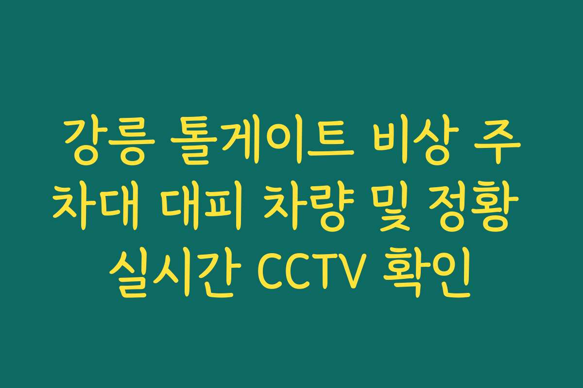 강릉 톨게이트 비상 주차대 대피 차량 및 정황 실시간 CCTV 확인